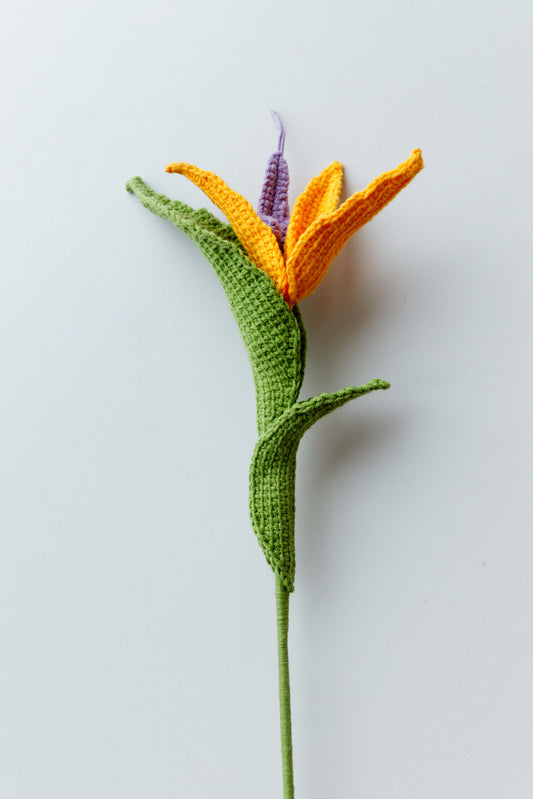 Crochet Bird of Paradise