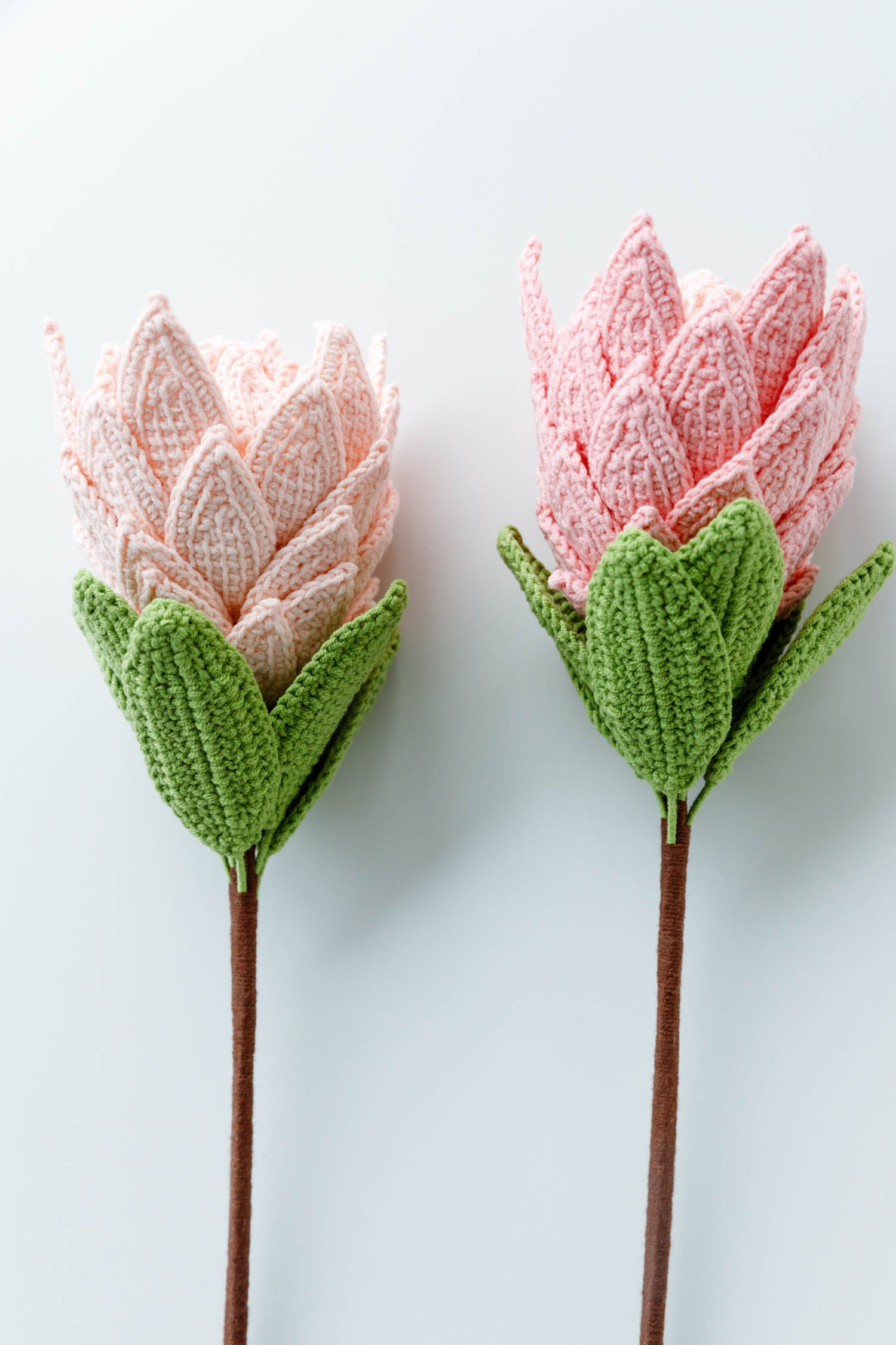 Crochet The King Protea, Princess Protea