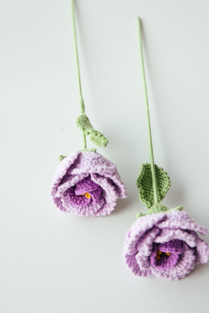 Crochet French Rose