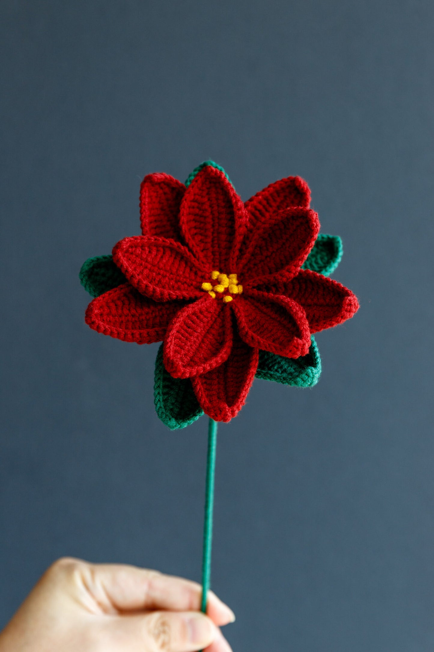 Crochet Poinsettia (Christmas flower)