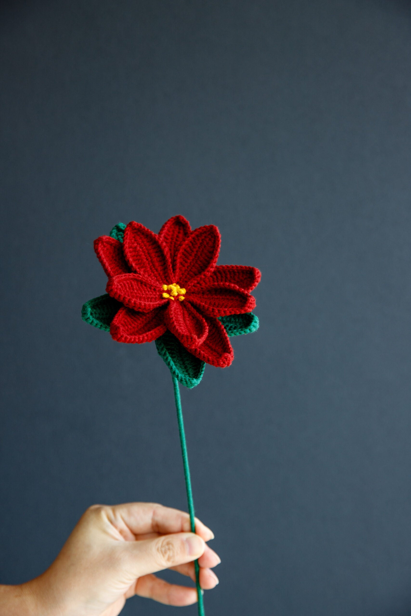 Crochet Poinsettia (Christmas flower)