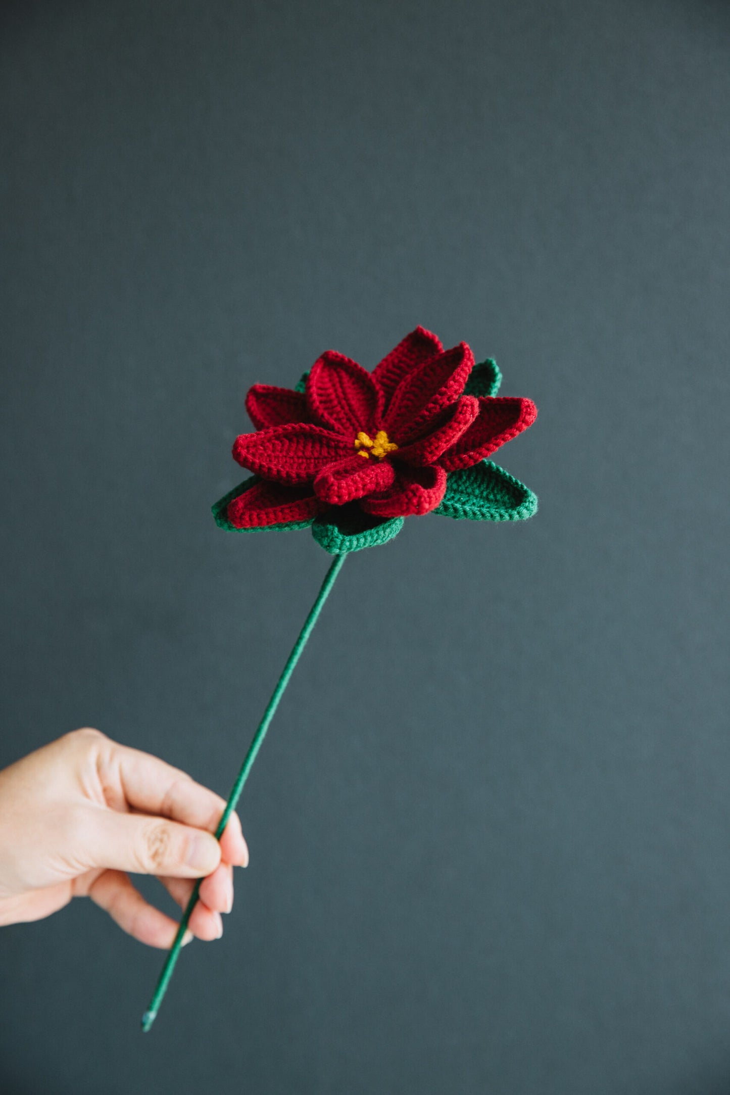 Crochet Poinsettia (Christmas flower)