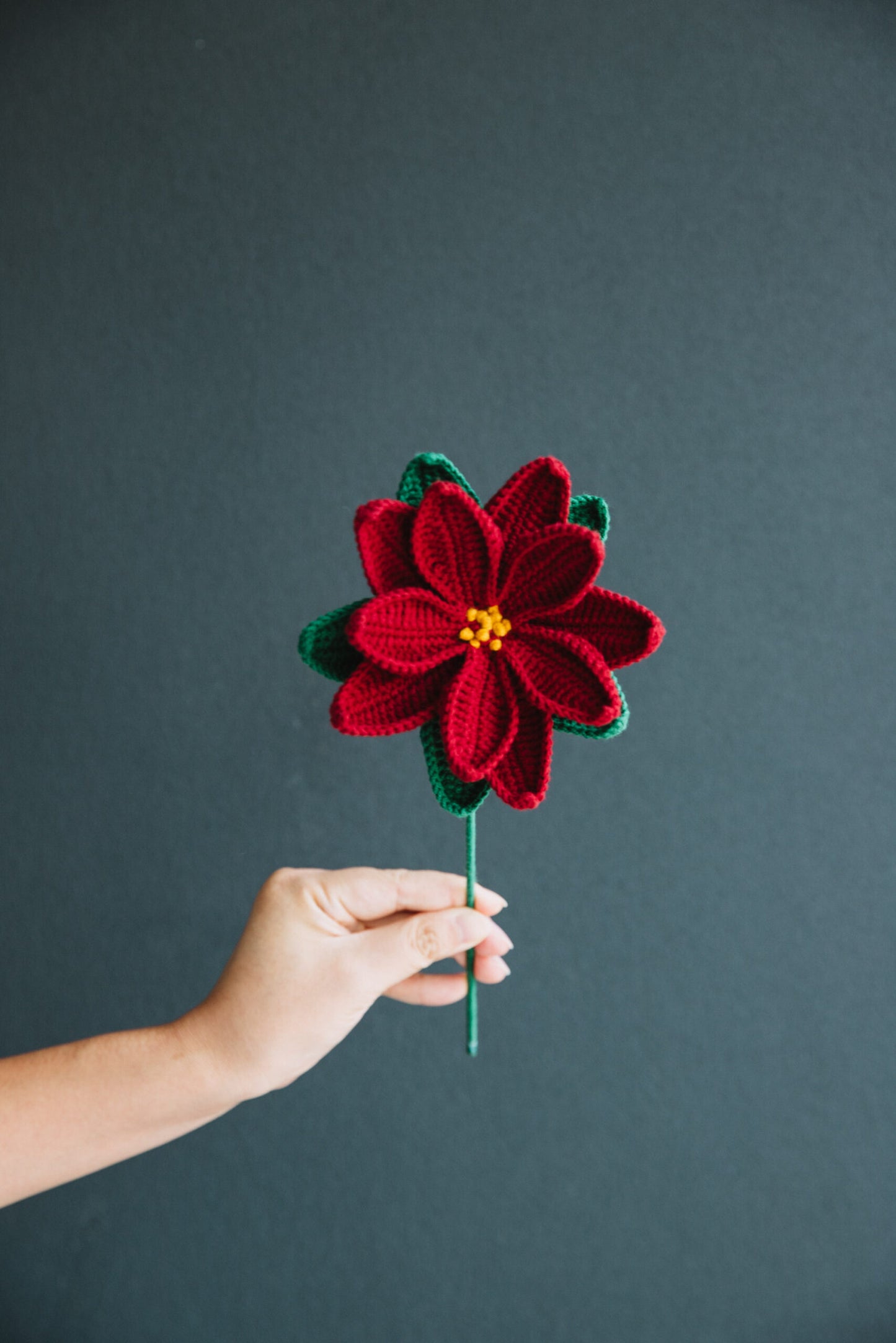 Crochet Poinsettia (Christmas flower)