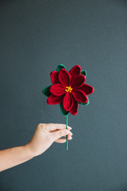 Crochet Poinsettia (Christmas flower)