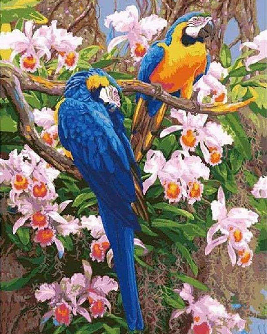 Parrot paradise | Paint by Numbers Kit