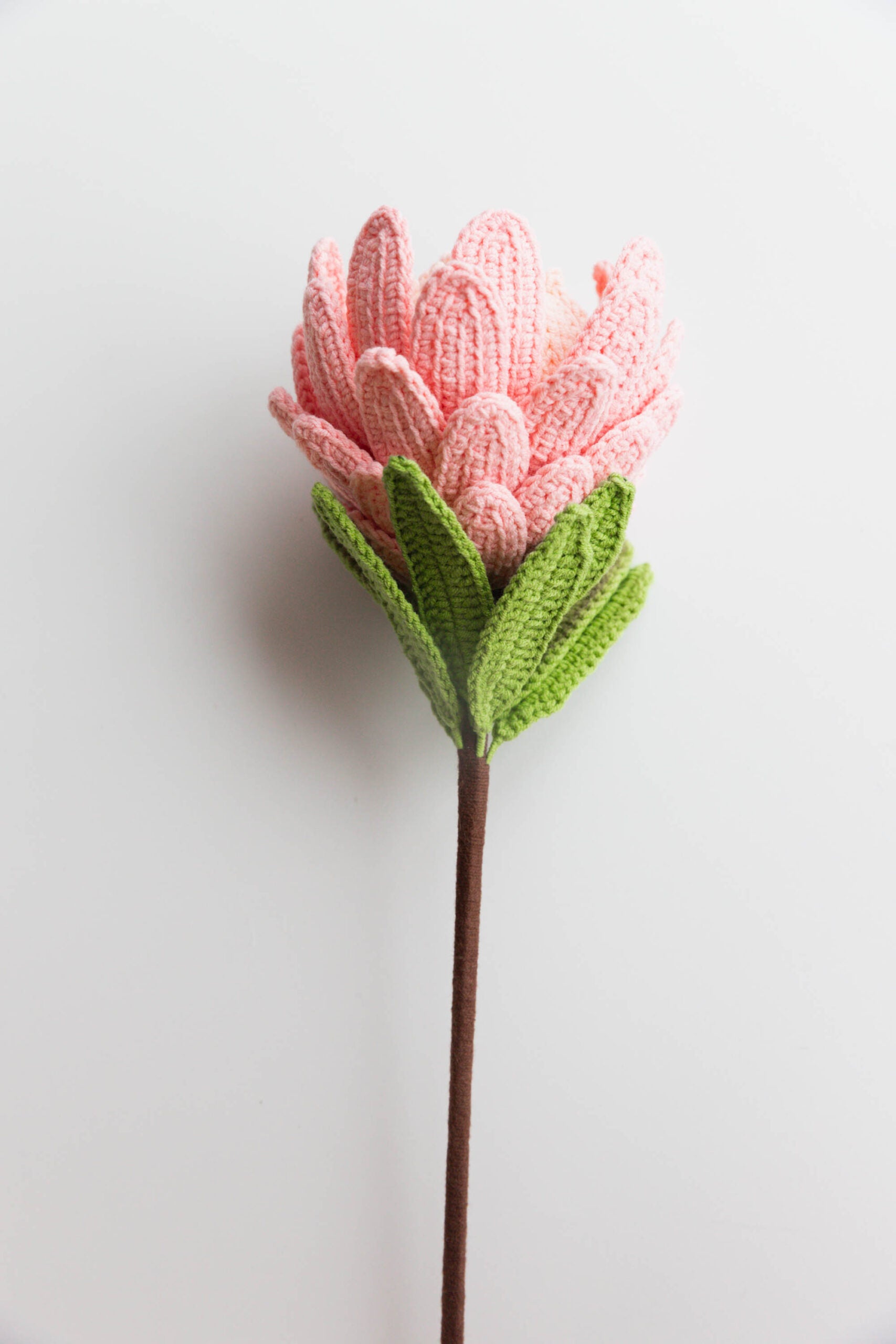 Crochet The King Protea, Princess Protea